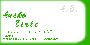 aniko birle business card